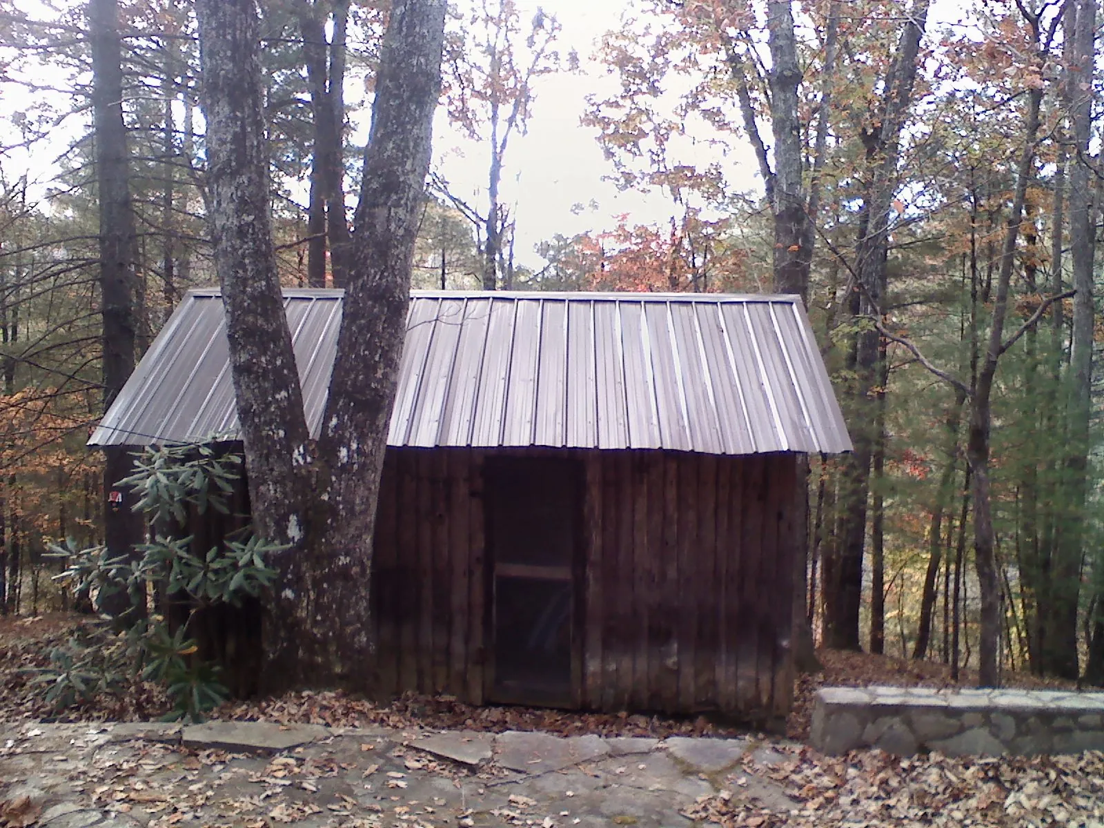 New metal gable roof on a small log shed among the trees in Lawton